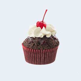 Cranberry Chocolate